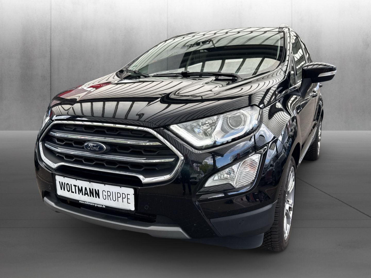 Fahrzeugabbildung Ford EcoSport Titanium X Kamera Ganzjahresreifen Wint