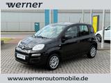 Fiat Panda 1.2 8V Easy Komfort Paket Außenspiegel el. - gebrauchte Fiat Panda aus dem Jahr 2020