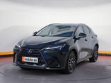 Lexus NX 450h+ E-FOUR Executive Line - Lexus in Hamm