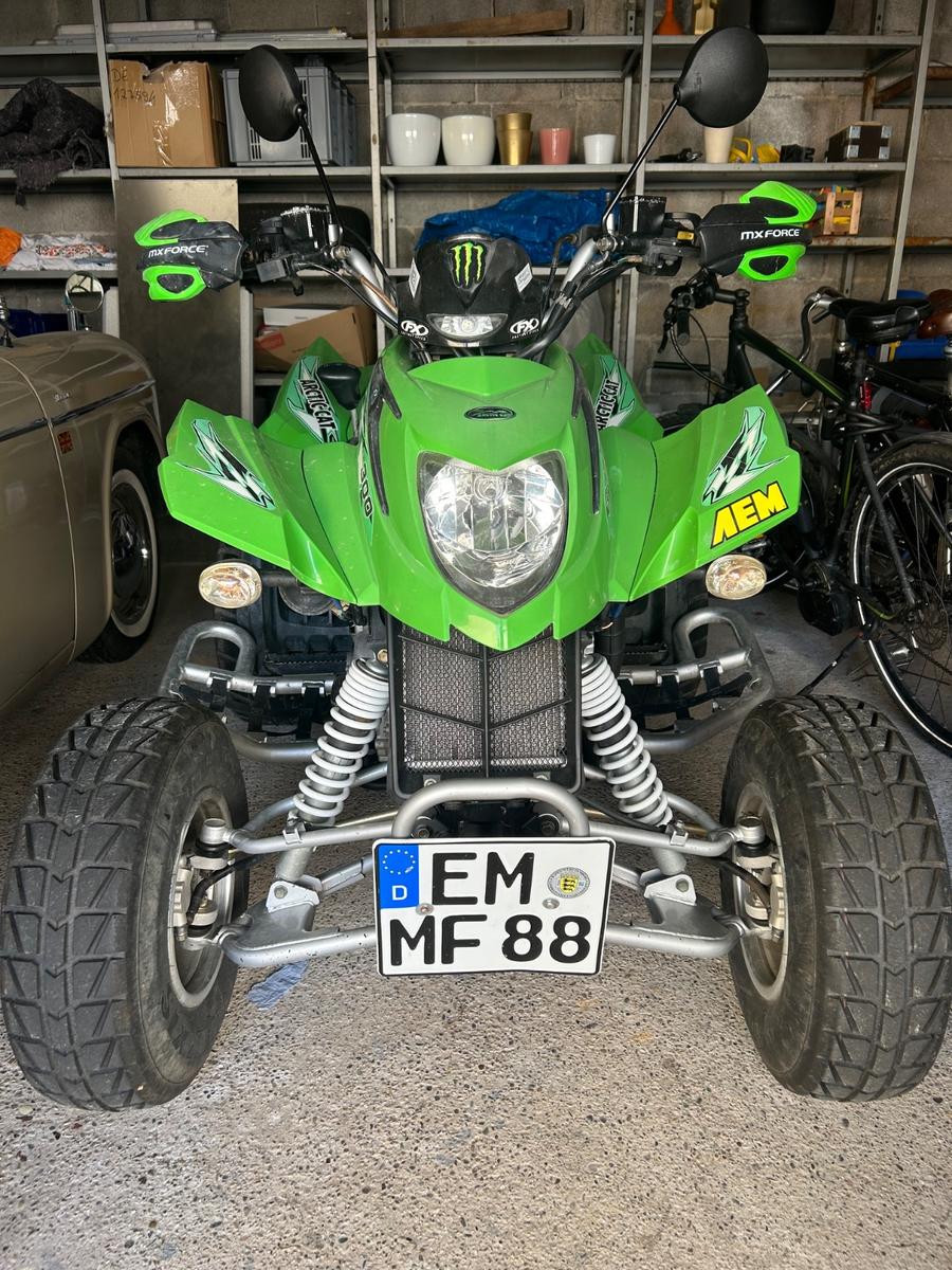 Arctic Cat 300 2014 — rear view