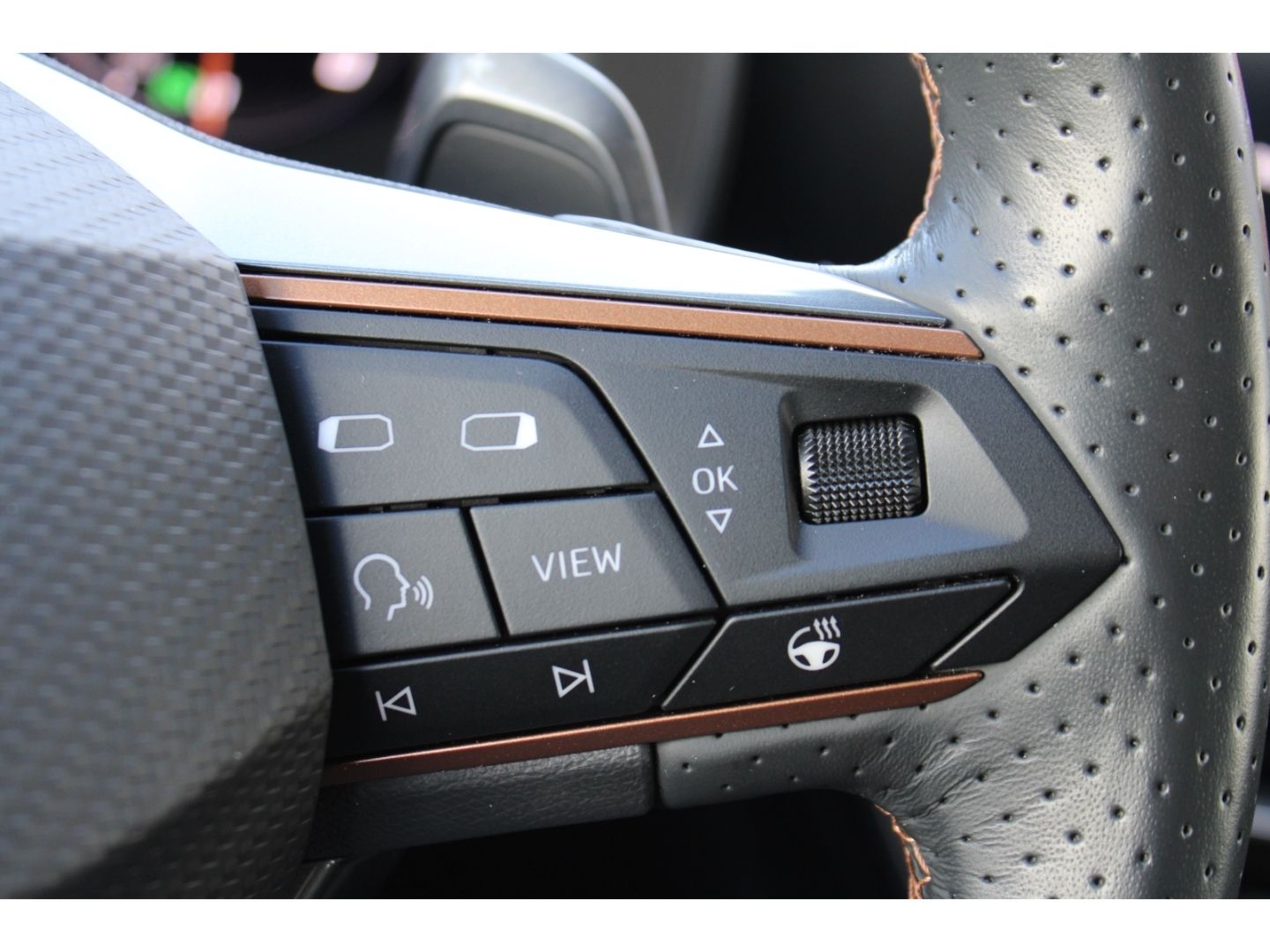 Fahrzeugabbildung CUPRA Formentor 1,5 TSi DSG ACC LED TWA  RFK Full Link