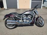 Harley-Davidson VRSCR Street Rod - Offers matching your search criteria