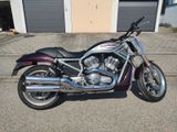 Harley-Davidson VRSCR Street Rod - Angebote entsprechen deinen Suchkriterien