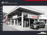 Toyota RAV 4 2.5 4x2 Hybrid Team Deutschland - Toyota RAV 4 aus 2023