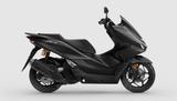 Honda PCX125 DX 2025 mit TZ - HONDA PCX125 DX
