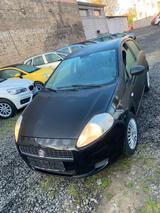 Fiat punto , neue tüv und Inspektion - Fiat Punto in Ludwigshafen
