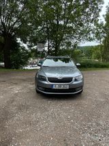 Skoda Octavia 1.8 TSI DSG 4x4, Pano, Voll, 4xShz - Skoda Octavia mit Benzin-Antrieb: Allradantrieb, Kombi, 1.8