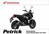 Honda MSX 125 Grom Schwarz #2025 - Sofort verfügbar - - Offers