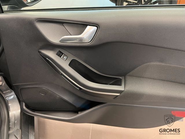 Fahrzeugabbildung Ford Fiesta ST Navi SHZ AppleCarPlay