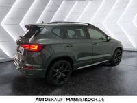 Cupra Ateca - Vorschau Bild 6