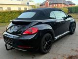 Volkswagen Beetle Cabriolet Allstar BMT/Start-Stopp/Euro6 - Volkswagen Beetle: Allstar