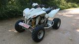 Andere Dinli Quad 450 ATV - Angebote