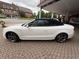 Audi A5 Cabriolet 3.0 TDI quattro PDC AH/HU NEU - Audi A5: 3.0