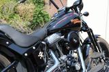 Harley-Davidson Cross Bones - Motorräder in Hagen
