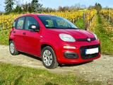 Fiat Panda 1.2 8V Pop - Fiat Panda: Schwarz