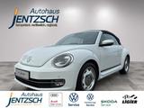 Volkswagen Beetle Cabriolet Cup Xenon/Klimaaut./Sitzh. - Volkswagen Beetle: Cup