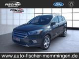 Ford Kuga Business Edition Bluetooth Navi Klima - Ford: Grün, Metallic