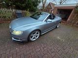 Audi S5 3.0 TFSI S tronic quattro Cabriolet - - Audi S5 von privat