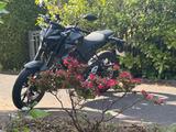 Yamaha MT-125 / Schwarz / EZ 07.2024 / 1908Km