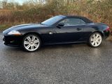 Jaguar XK 4.2L V8 Cabriolet  8x 20 Zoll Sommer / Winter - Jaguar: Cabrio