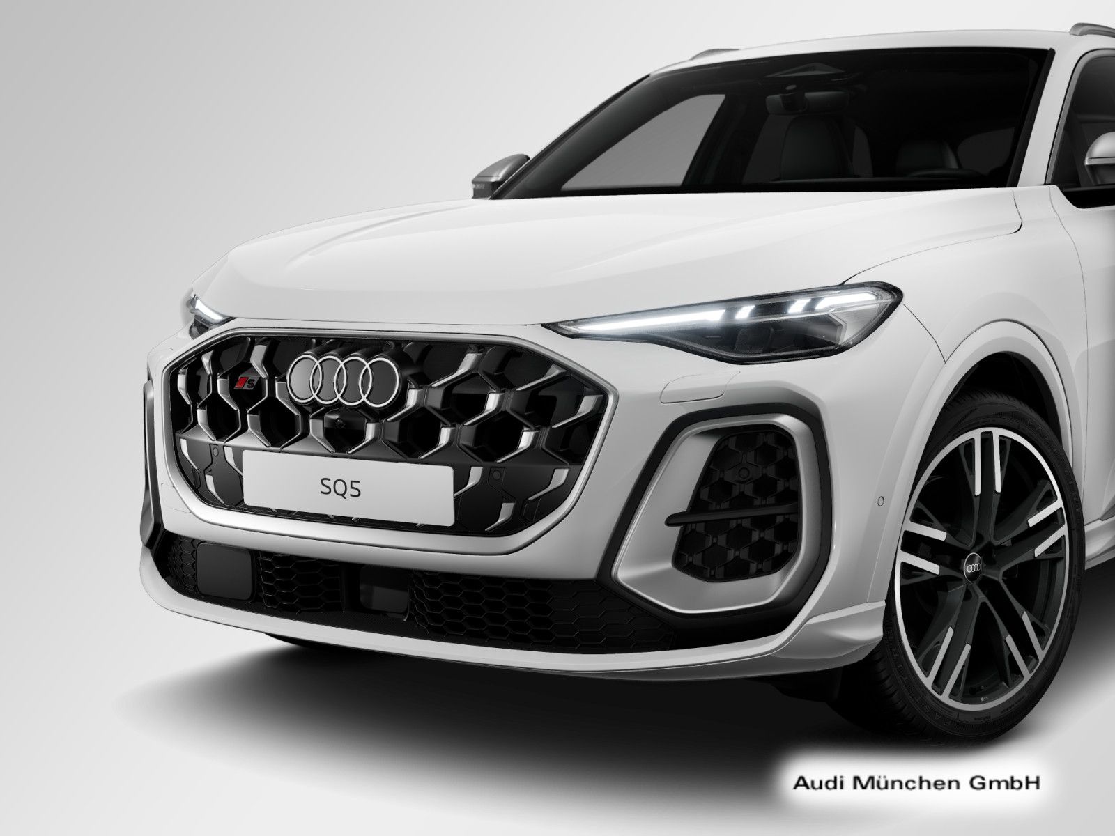 Audi SQ5 - Bild 9