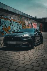Ford Mustang 3.7 V6 ROUSH-Umbau - Ford Mustang Gebrauchtwagen in München