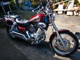 Yamaha Virago 535 DX - Wenig Kilometer  - YAMAHA 1994 VIRAGO 535