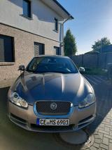 Jaguar XF 2008 - gebrauchte Jaguar XF aus dem Jahr 2008
