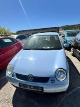 Volkswagen Lupo 1.0 College College - Volkswagen Lupo College mit Benzin-Antrieb
