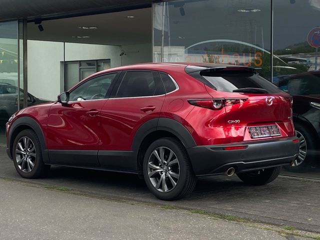 Fahrzeugabbildung Mazda CX-30 Selection , e-SKYAKTIV X*Head-Up*NAVI+RFK