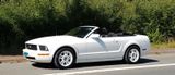 Ford Mustang - Ford Mustang mit LPG-Antrieb