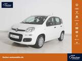 Fiat Panda 1.0 GSE Hybrid Pandina Icon - Fiat Panda Neuwagen mit Benzin-Antrieb