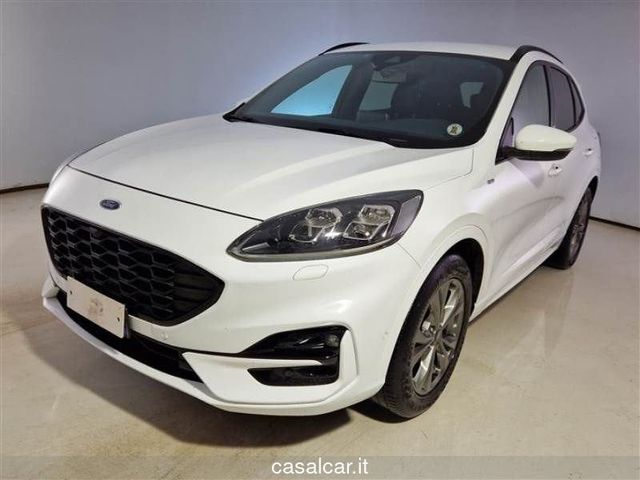 Ford Kuga 1.5 EcoBlue 120 CV aut. 2WD ST-Line X 