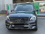 Mercedes-Benz ML 350 ML ML 350 CDI BlueTec 4Matic*AMG-Paket* - Mercedes-Benz ML 350 in Nürnberg