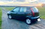 Fiat Punto 1.2 TÜV 03/2028 Allwetterreifen... - Fiat Punto in Hannover
