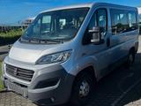 Fiat Ducato,Rollstuhlrampe,Behindertengerecht,Automat - : Behinderten Auto