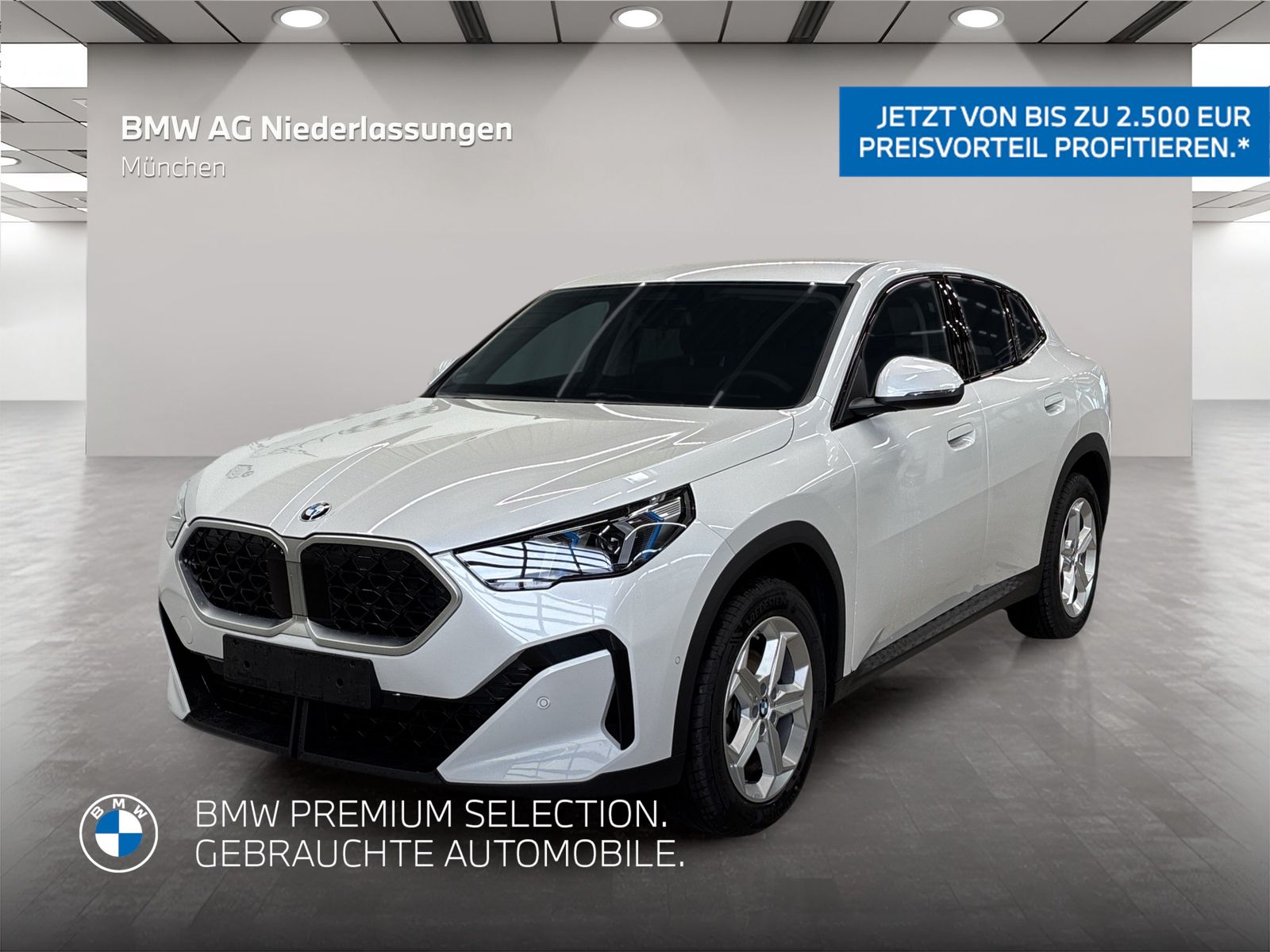 BMW X2 xDrive20d Kamera Driv.Assist LED Sitzheizung foto 1