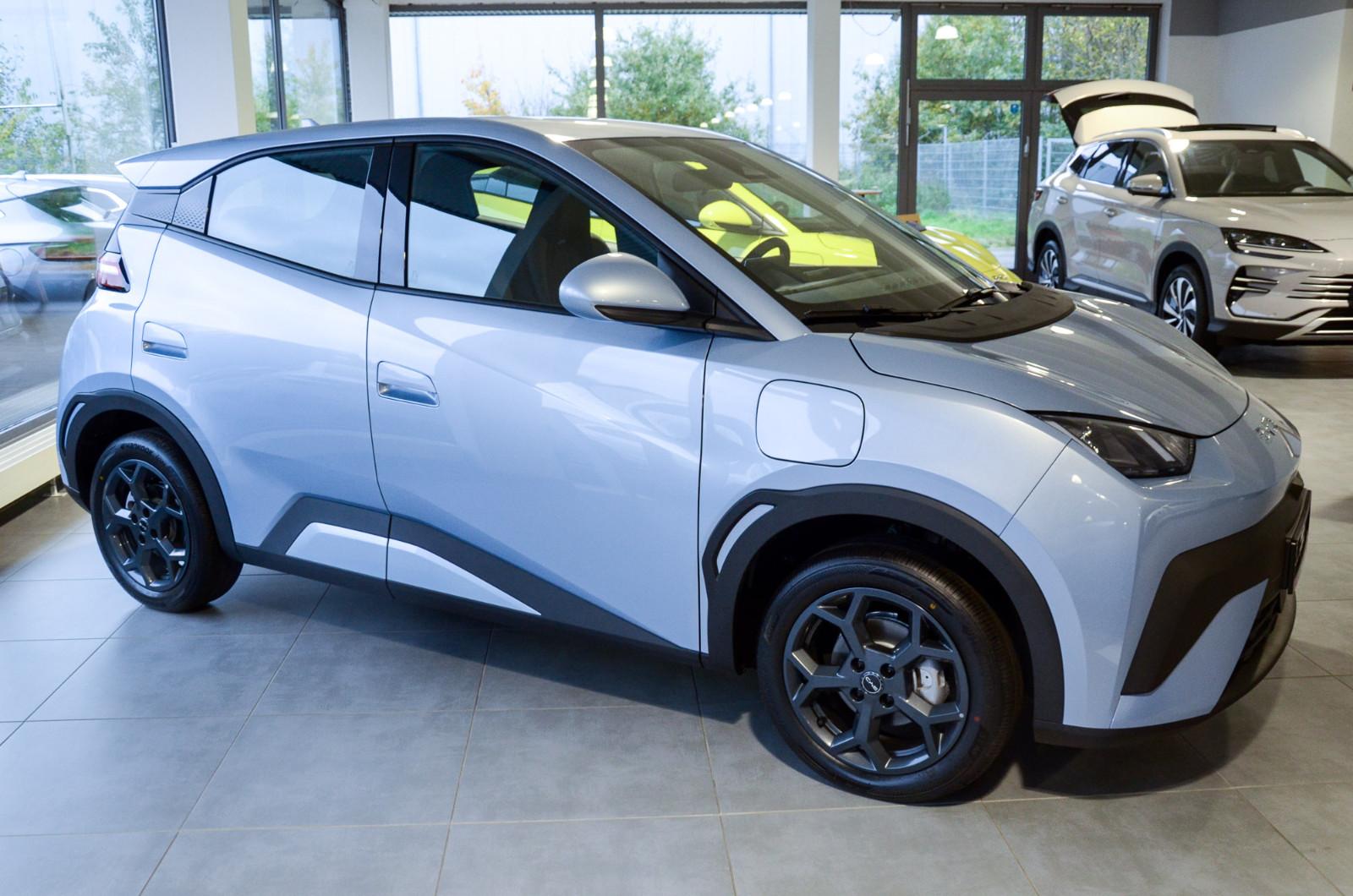 BYD Dolphin Surf Boost