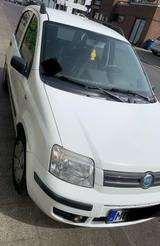 Fiat Panda - Fiat Panda Gebrauchtwagen in Mönchengladbach