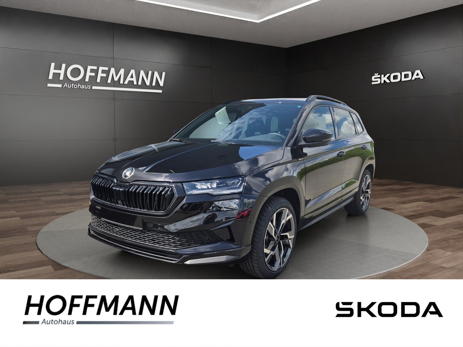 Fahrzeugbild von Skoda Karoq