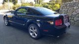 Ford Mustang GT mit Panoramadach - Ford Mustang aus 2009