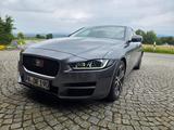 Jaguar XE 20d 180PS Portfolio Automatik + Schiebedach