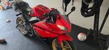 Yamaha YZF R 125 - YAMAHA ROT YZF R125