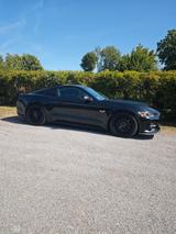 Ford Mustang GT Fastback 5.0 V8 Voll-Scheckh-Deutsch - Ford Mustang: Fastback