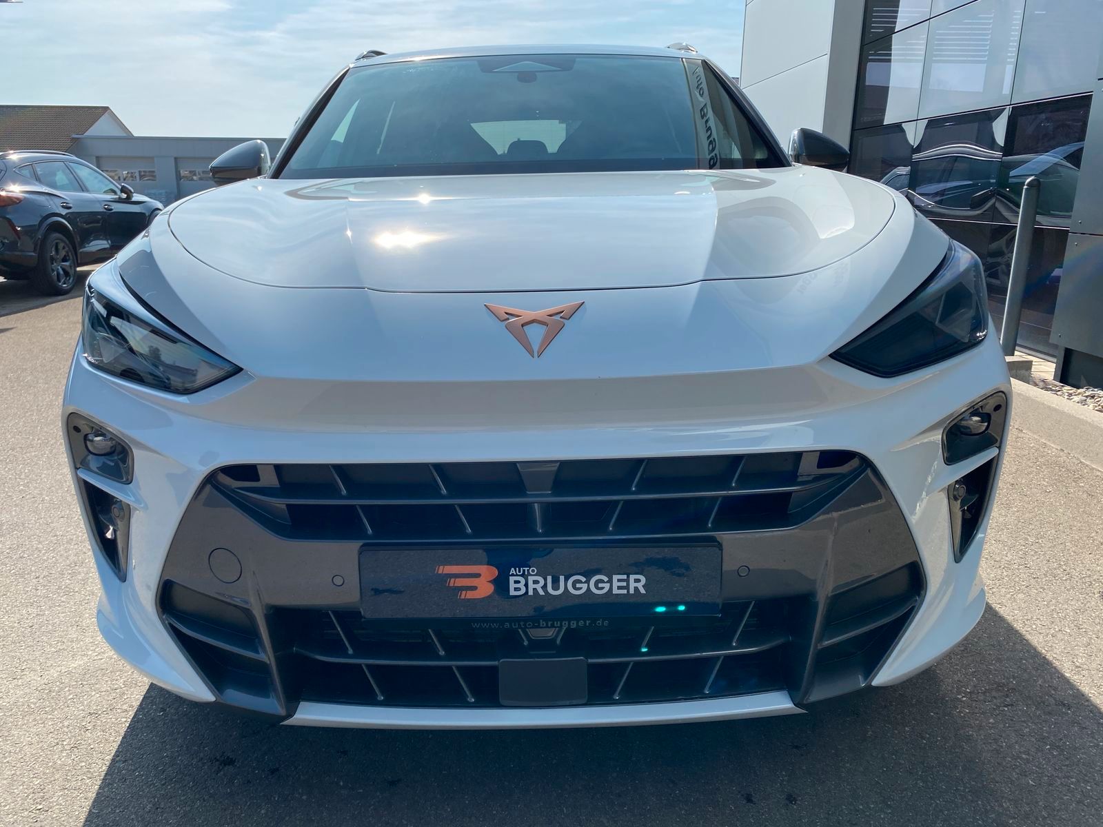 Cupra Terramar - Bild 2