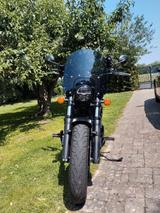 Indian Chief Dark Horse - Offers