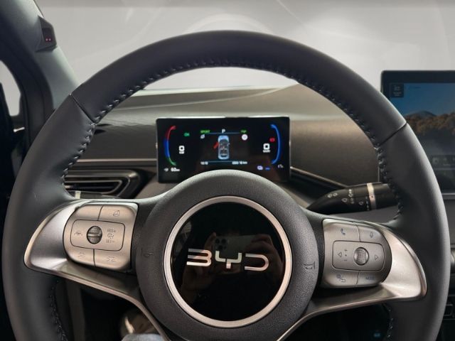 BYD DOLPHIN SURF