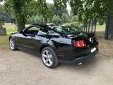 Ford Mustang GT 4.6 Schalter  in TOP Zustand - Ford Mustang mit Benzin-Antrieb: Schaltgetriebe