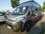 Carado CV 600 PRO Maxi Aufstelldach ACC+Dieselst.hzg - Kastenwagen
