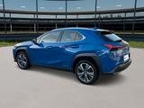 Lexus UX 300 e Mark and  Levingston export 16700 netto - Lexus aus 2021